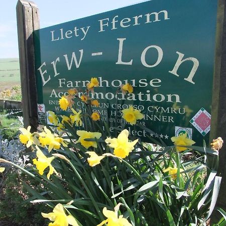 Bed and Breakfast Erw-Lon Farm Pontfaen Exterior foto